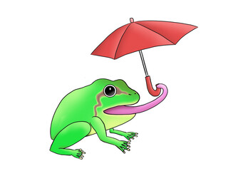 A frog which is presenting an umbrella