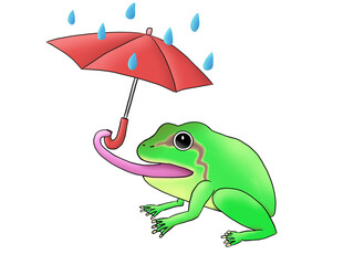 Obraz premium A frog which is presenting an umbrella