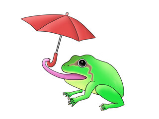 Obraz premium A frog which is presenting an umbrella