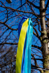 Ribbons in the colors of the Ukrainian flag tied to the tree branches