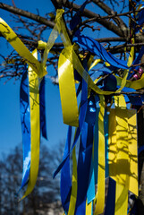 Ribbons in the colors of the Ukrainian flag tied to the tree branches
