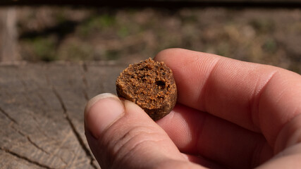 piece of hashish in hand, cannabis chocolate concentrate closeup