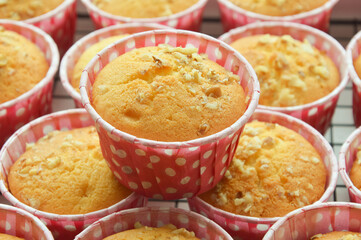 creamy cupcake with nuts in pink shape. homemade cakes, sweet dessert.
