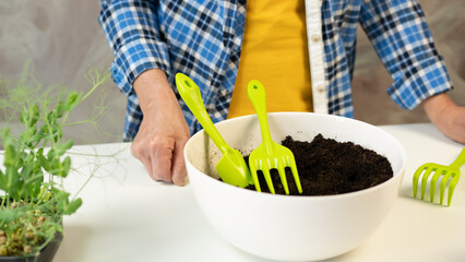 A bowl with earth and tools in it, for planting, stand on a white table and a background of a person. The concept of home gardening, farming, preparing for planting seedlings in spring, growing food.