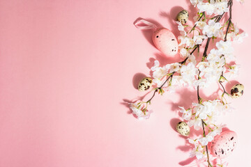 Happy Easter pink background with blooming cherry and quail eggs