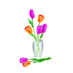 Pink and orange tulips  flowers in a clear glass vase with water for room decor project, isolated on white background. Vector illustration for interior design, flower shop advertising, greeting card.