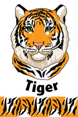 Tiger head of wild animal living in nature with a print texture of the skin