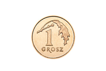 Moneta 1 Polski grosz - obrazy, fototapety, plakaty