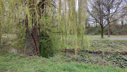 karlsruhe g&uuml;nther-klotz-anlage