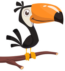 Toucan cartoon. Vector toucan bird. Exotic colorful bird illustration © drawkman