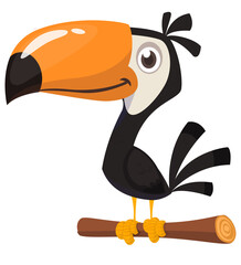Toucan cartoon. Vector toucan bird. Exotic colorful bird illustration - obrazy, fototapety, plakaty