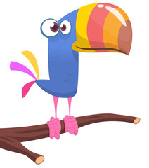Toucan cartoon. Vector toucan bird. Exotic colorful bird illustration © drawkman
