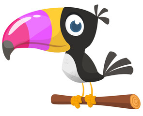 Toucan cartoon. Vector toucan bird. Exotic colorful bird illustration - obrazy, fototapety, plakaty