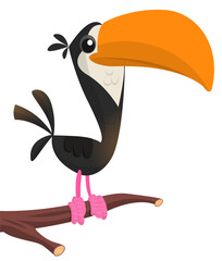 Toucan cartoon. Vector toucan bird. Exotic colorful bird illustration © drawkman