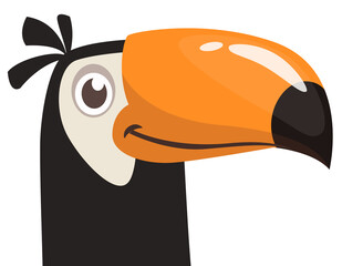 Toucan cartoon. Vector toucan bird. Exotic colorful bird illustration © drawkman