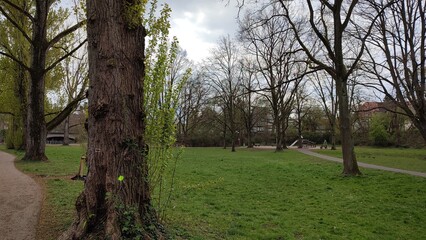 karlsruhe günther-klotz-anlage