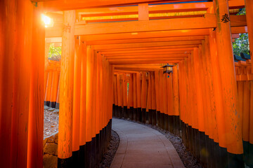 KYOTO, JAPAN - MARCH 5, 2017: The Red Torii gate in Fushimi Inari Court, one of the most famous landmarks in Kyoto, Japan.
