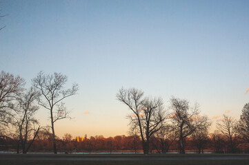 sunset in the park