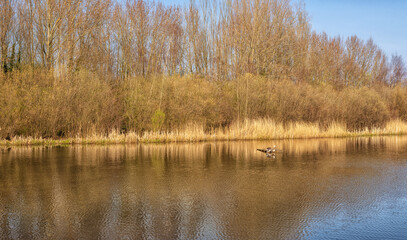 Lake side view.