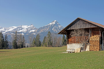 Fototapeta na wymiar Aeschi, Alpen, Berner Oberland, Schweiz