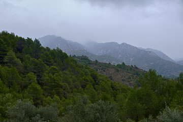 Mountain landscape surrounded by clouds and crop fields.
