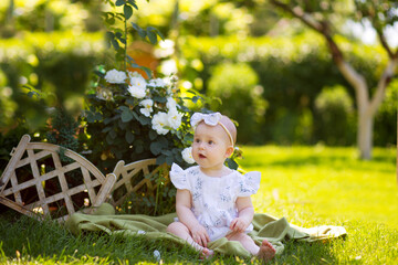 A little girl in a dress is sitting on the grass. summer walk with mom in the park
