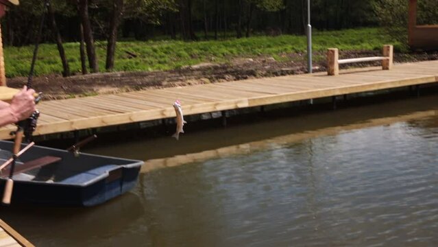 Man catching fish from artificial fresh water in nature. Fisher man with cought trophey on angler