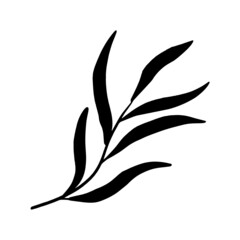 Aesthetic Handdrawn Leaf