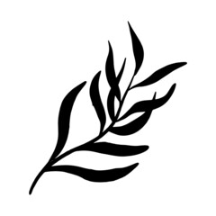 Aesthetic Handdrawn Leaf