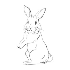 Five black and white sketches of cute rabbits sitting in various poses. Vector Illustrations.