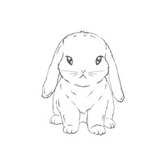 Five black and white sketches of cute rabbits sitting in various poses. Vector Illustrations.