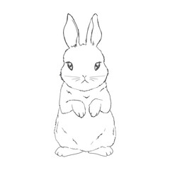 Five black and white sketches of cute rabbits sitting in various poses. Vector Illustrations.