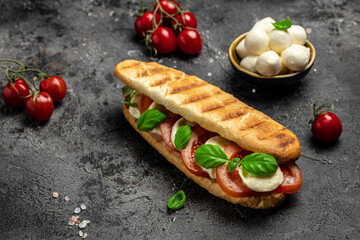 Pressed and toasted panini caprese with tomato, mozzarella and basil, Caprese Panini Sandwich. Delicious breakfast or snack, Clean eating, dieting, vegan food concept. top view