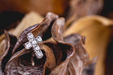 Beautiful piercing jewelry. Macro shot. Selective focus.