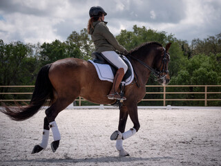 Female dressage rider training canter gait or gallop on the arena.