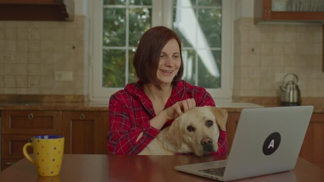 30s woman using laptop and petting Labrador Retriever dog sitting at the table at home. Person with pet working online.
