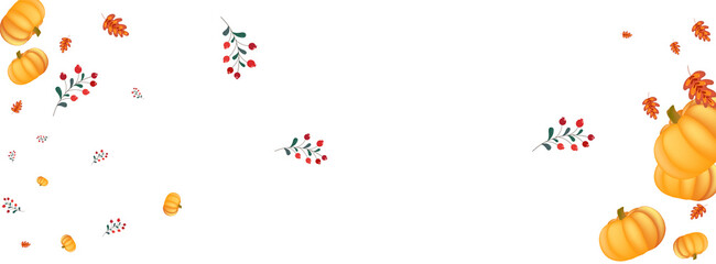 Yellow Leaves Background White Vector. Pumpkin Fall. Red Picking Set. Botanical Illustration. Colorful Rowan Drawing Template.