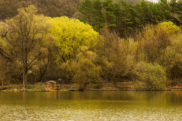 Fishingmen at the lake at springtime 