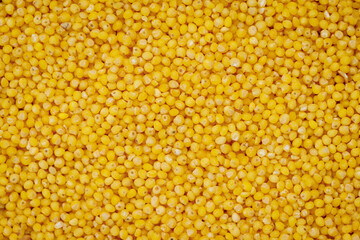 Millet polished texture background. High quality photo