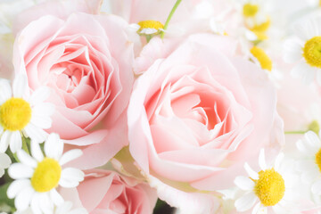 優しいピンク色のバラの花束