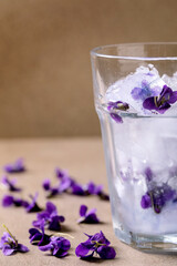 Glass of lemonade cocktail with violets flowers