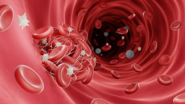 Animation of a blood clot forming in a blood vessel