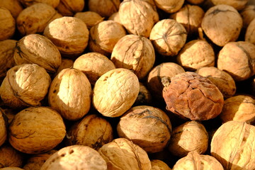 walnut and a walnut in rind walnut closeup shot, side slide of walnuts under sunlight