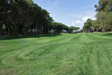 Golf de l'Empordo Forest sur la Costa Brava en Espagne