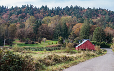 Fototapeta na wymiar Country scene - red barn and tall trees- fall colors 