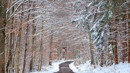 Waldweg mit Ansitz und Schnee