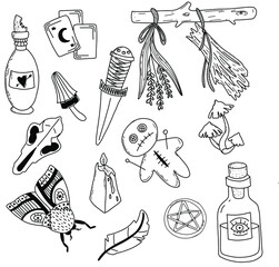Hand drawn magic set, witchcraft vector doodle. Magician and alchemy tools collection: feather, mushrooms, candle, herbs, bones. Vector illustration