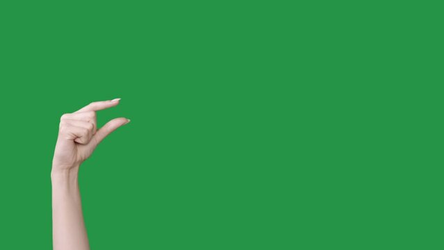 Small gesture. Finger measurement. A little bit. Female hand showing tiny size something invisible isolated on green chroma key copy space advertising background.