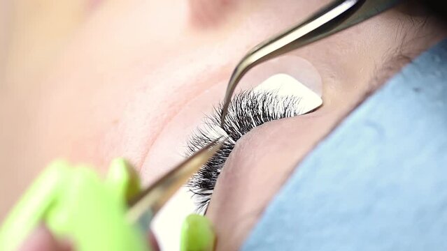 macro seed of the eyelash extension procedure, the master spreads the cilia bundles and glues the lash with tweezers