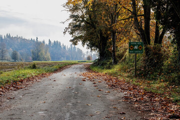 Farmland scene - fall day 